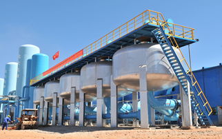 从技术供应商到解决方案服务商的华丽转身 北京北大先锋科技跨越式发展纪实